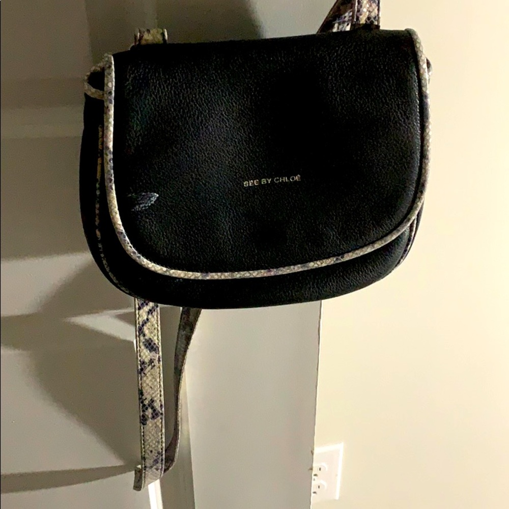 Chloe cross bag
